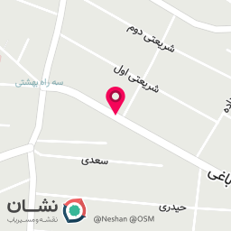عکس فست فود کارا