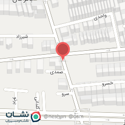 عکس الکتریکی الکترو ویژه