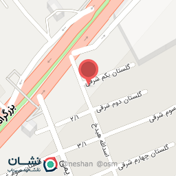 عکس نان فانتزی شاهین