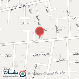 عکس پیچ برگر