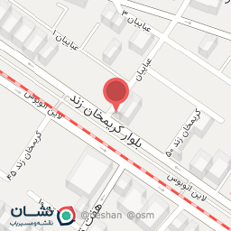 عکس دکتر نسرین برزگر