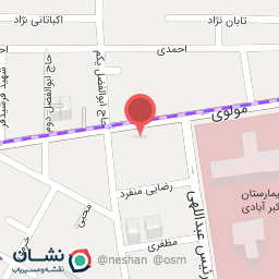 عکس تهیه غذای خاتون