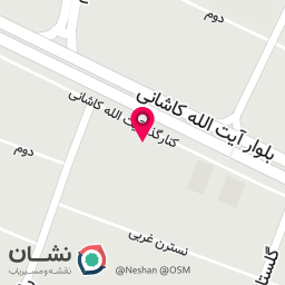 عکس نیکاد