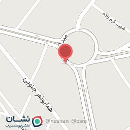 عکس تزئینات اتومبیل مشایخ