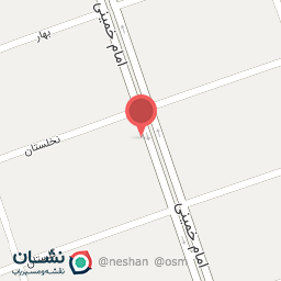 عکس فروشگاه بزرگ چسب و رنگ نخلستان