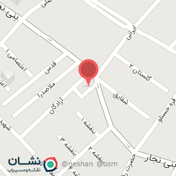 عکس پیتزا پیمان