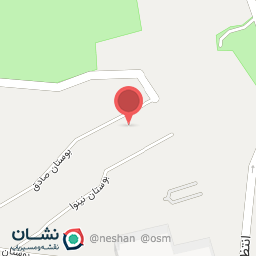 عکس مزار مرحومه طلعت وصالی کرمانی