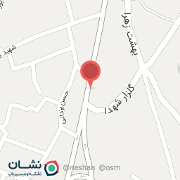 عکس پرنده فروشی 