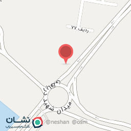 عکس آرتین پخش گوشتی بوفالو 