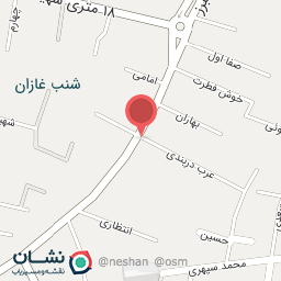 عکس غذای خانگی مهدی