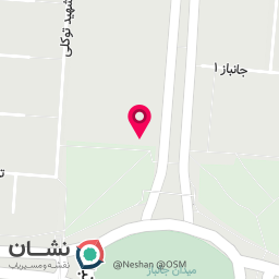 عکس میکروبلیدینگ نرجس مهدویان