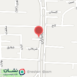 عکس فلافل آقای نخود