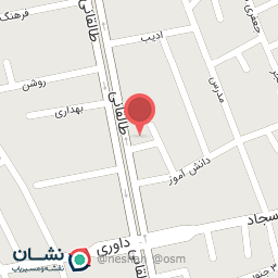 عکس مرغ رضا معینی