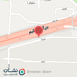 عکس دکتر مانیا عیسی بخش