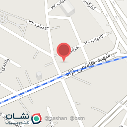 عکس شرکت مسافری طریق الرضا