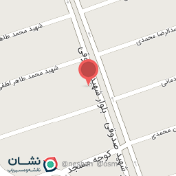 عکس غذاپزی صالح