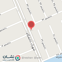 عکس غذای بیرون بر دوپل