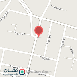 عکس کیف و کفش اریا