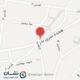 عکس تهیه غذای درباری