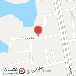 عکس مکانیکی استاد محسن 