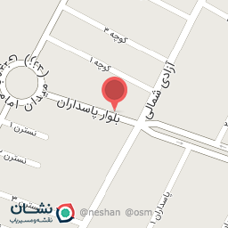 عکس کباب ترکی و برگر زغالی