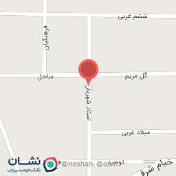 عکس سالی برگر