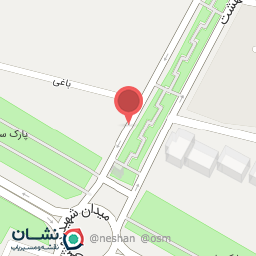 عکس پیتزا نیک نام