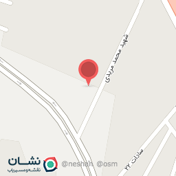 عکس میکانیکی استاد سامان مدور 