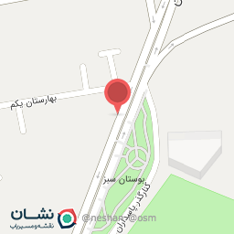 عکس تم تولد و بادکنک هلیومی شادزی