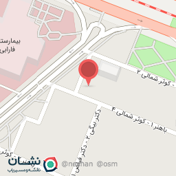 عکس فیبرواسکن دکتر شماعی