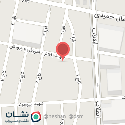 عکس پوشاک زنانه شی شی