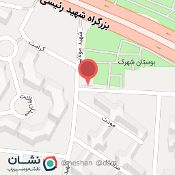 عکس تصویربرداری شهید بروجردی
