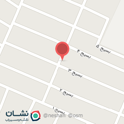 عکس مرغ زنده تک