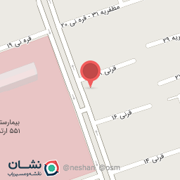 عکس فست فود قارچ و پنیر