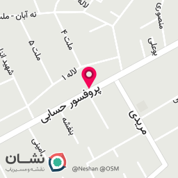 عکس آرین چوب