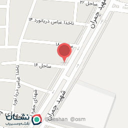 عکس تزئینات اتومبیل لیان