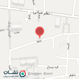 عکس فست فود خانگی لیو