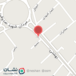 عکس پیتزا آقا بزرگ 