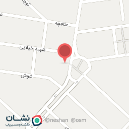 عکس پیرایش زیتون