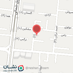 عکس قالیشویی ارم