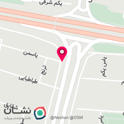 عکس تشخیص رنگ و کارشناسی خودرو سردار