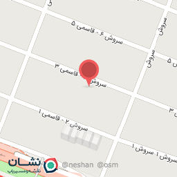 عکس برنامه نویسان پیشروی نوین توس