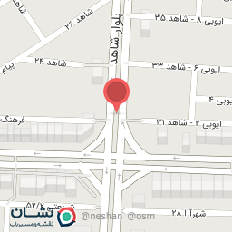 عکس دکتر سعیده باغیاری