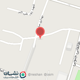 عکس کاکتوس تراریوم آدا