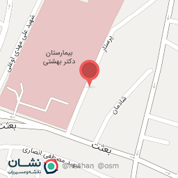 عکس توسعه دهندگان دلفین هفت