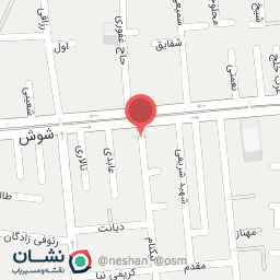 عکس سوپر مارکت شاهین 