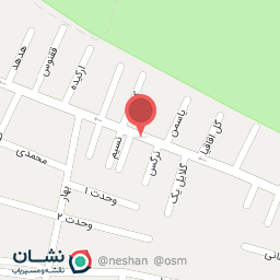 عکس فروشگاه شوینده بهداشتی راسپینا