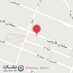 عکس دکتر محمد مهدی خراسانی (داخلی و قلب)