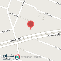 عکس جوجه فراری