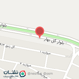 عکس ساندویچ طاها